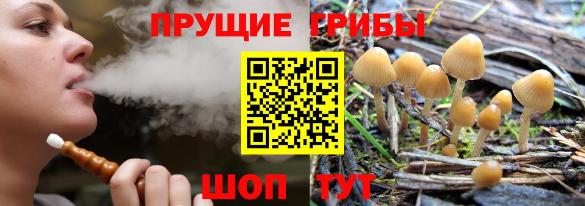 Галлюциногенные грибы GOLDEN TEACHER  Галлюциногенные грибы Psilocybe  Вход с VPN  Тосно 